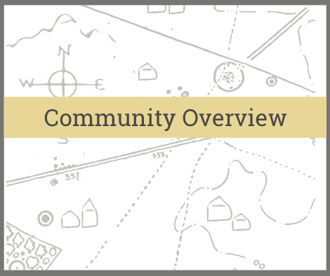 Community Overview-1